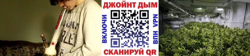 Конопля планчик  Купить закладки  Верхнеуральск 